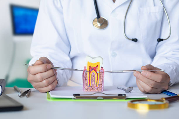 Best Emergency Dental Care for Abscessed Tooth in Moriches, NY